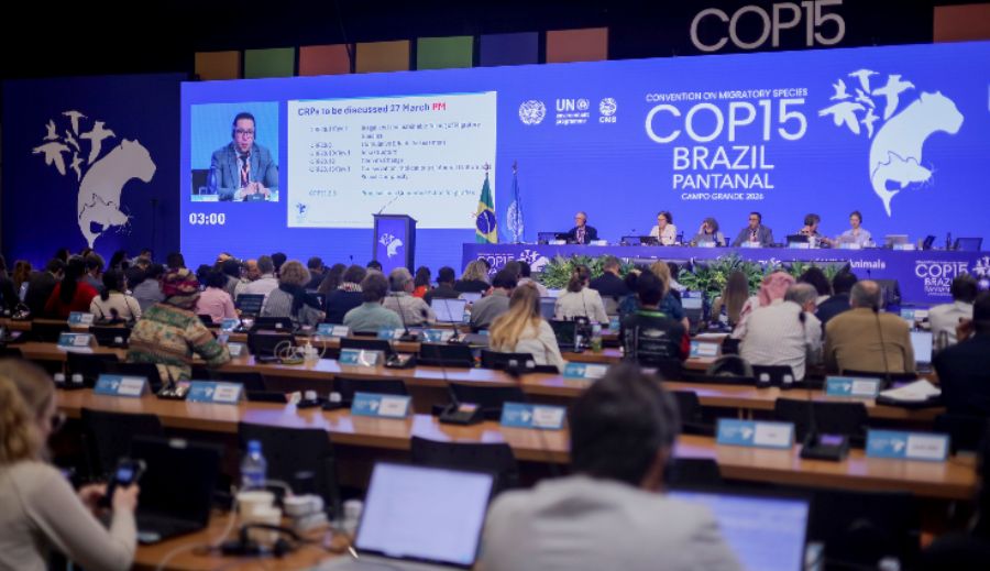 COP15 e o alerta global: clima e biodiversidade não podem caminhar separados