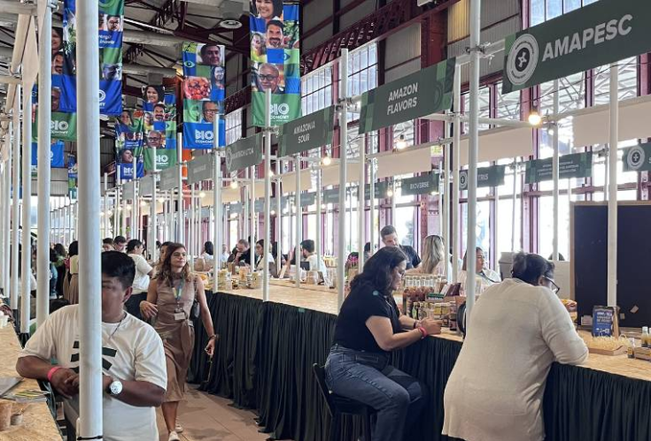 Como a Amazônia deve liderar a nova matriz econômica brasileira