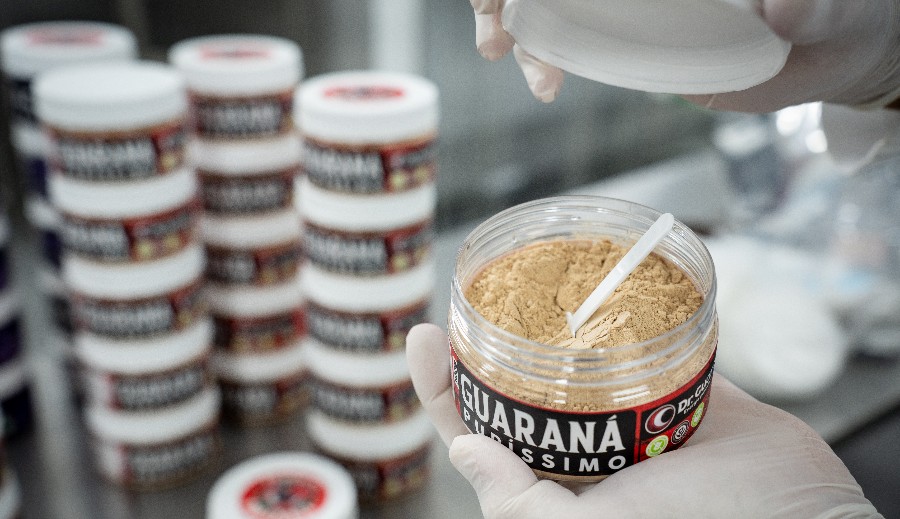 Treinamento gratuito para vendas pela internet seleciona 100 negócios da Amazônia