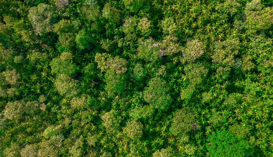Startups são selecionadas para desenvolver soluções tecnológicas voltadas ao turismo na Amazônia
