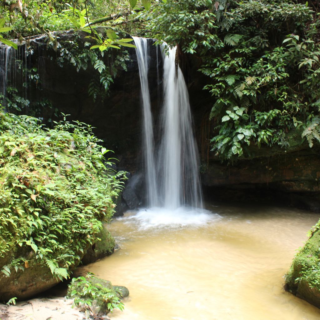 Foto galeria 1