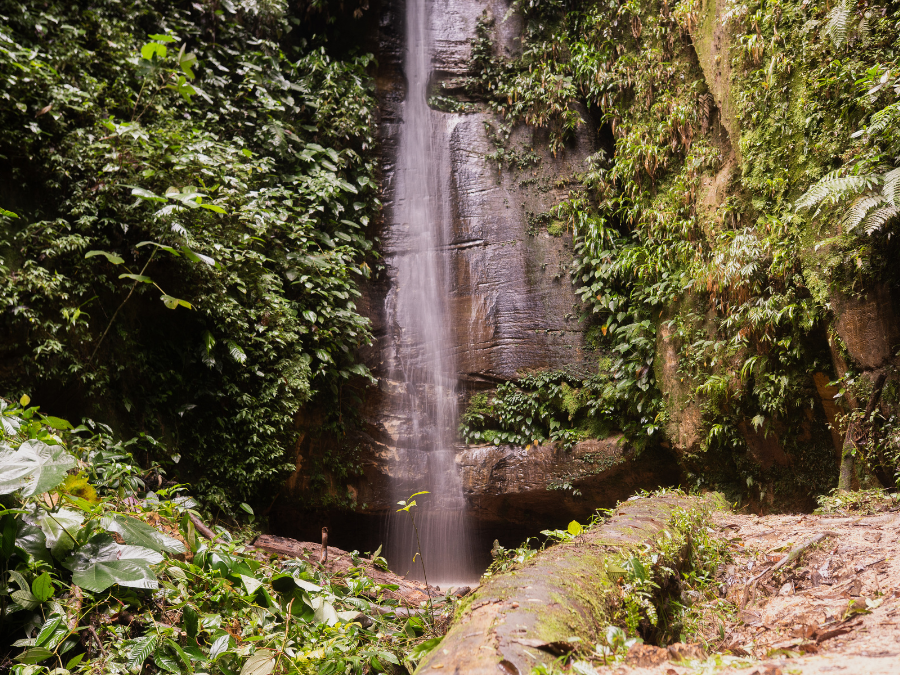 Cachoeira do amor