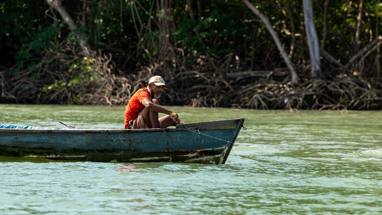 Pesca artesanal que sustenta as famílias