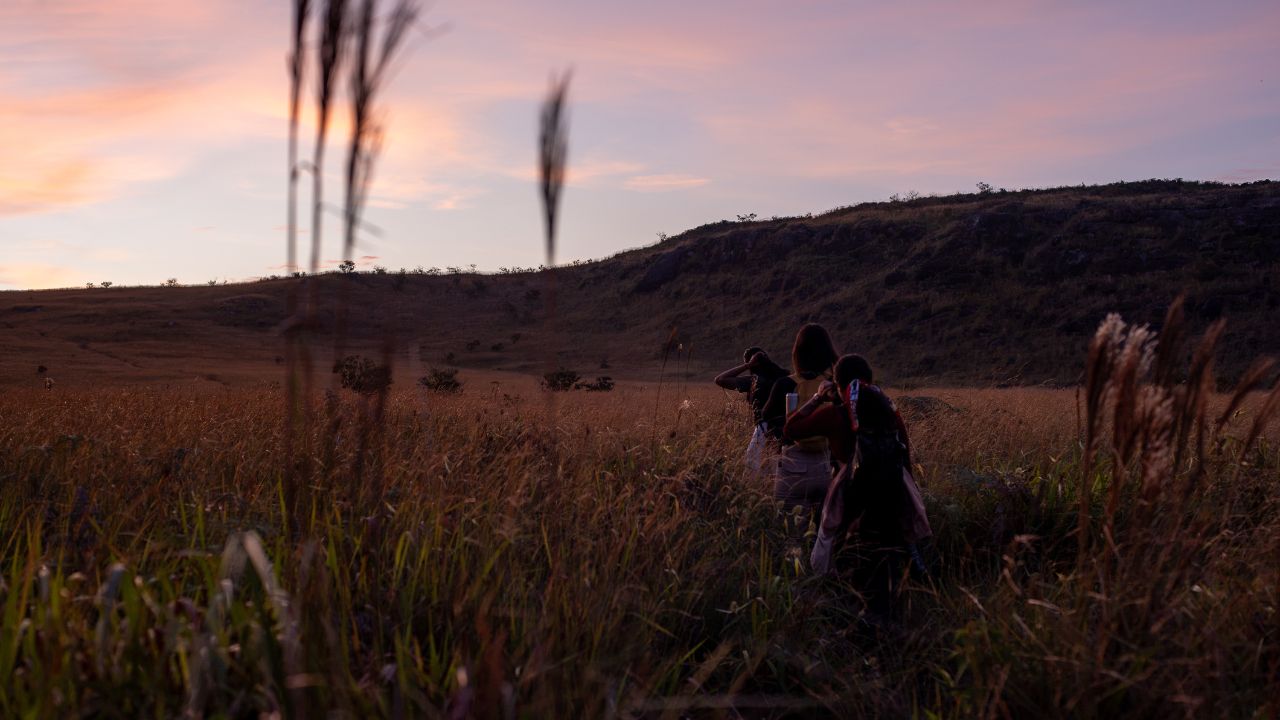 Paisagem do Lavrado em Roraima, com gramíneas douradas, vegetação de savana e horizonte aberto.