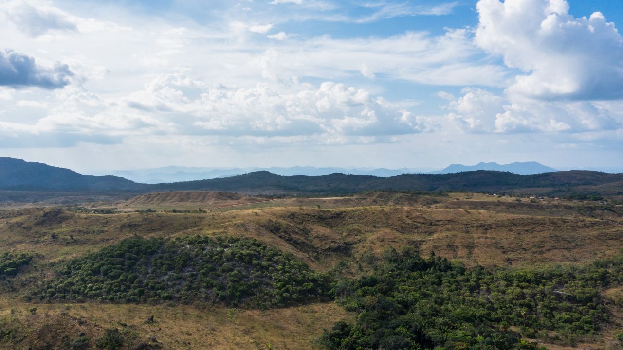 Paisagem do Lavrado em Roraima, com extensas áreas de savana e vegetação característica da região.